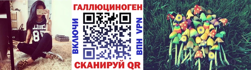 Галлюциногенные грибы Psilocybe  Каргат 